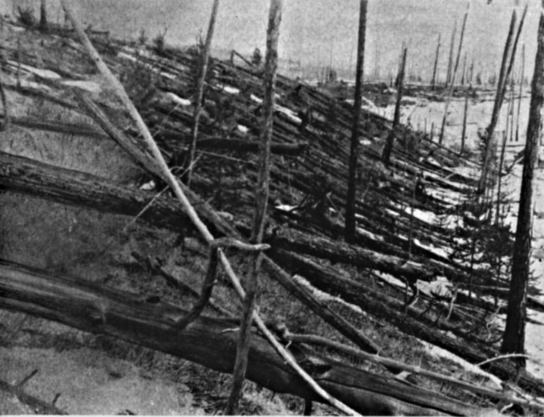 1927 Leonid Kulik expedition photo of fallen trees